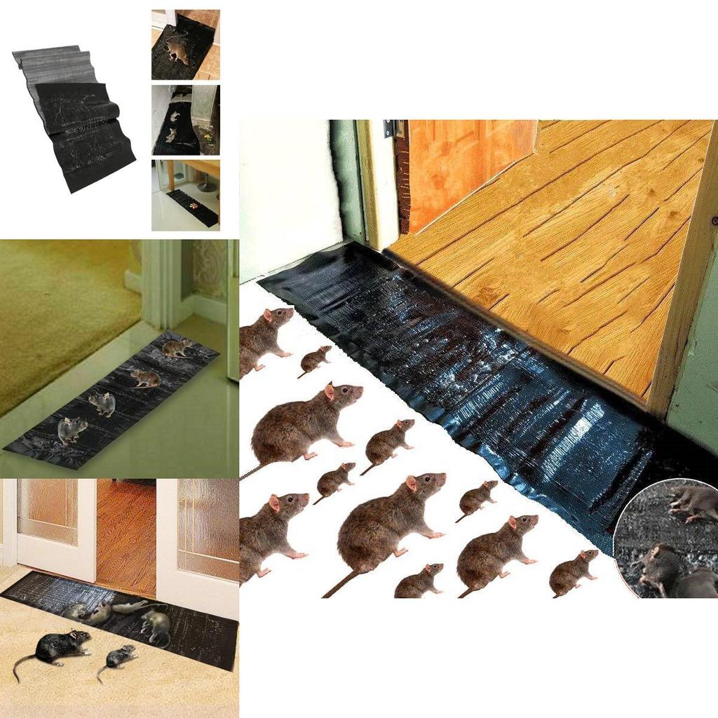 Premium Mice Traps Mouse Rat Trap Large Size Waterproof Pest Controller For Homes