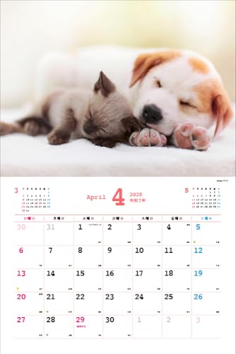 2025 Ημερολόγιο Nakayoshi Σκύλος/Γάτα <Γεμάτο χαριτωμενιά!> Κάθε μέρα είναι μια χαλαρωτική στιγμή > ([Ημερολόγιο])