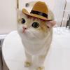 Adjustable Pet Cowboy Hat Cute Cats Triangle Scarf Pet Western Cowboy Hat Set  Birthday Party