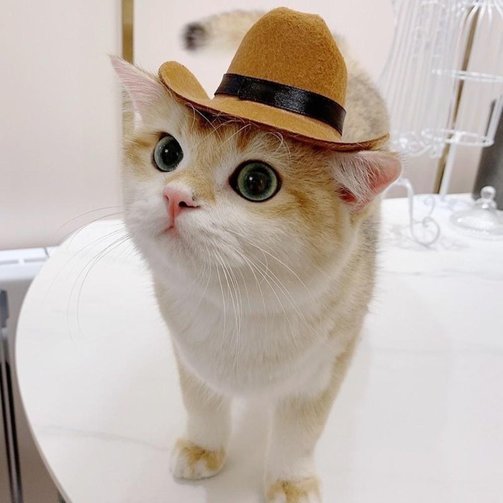 Cute Pet Cowboy Hat Breathable Cosplay Cap Bandana Pet Supplies Pet Costume  For Cats and Dogs