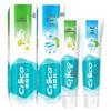 Nice Toothpaste Dual Pack - Natural Salt & Cool Chrysanthemum