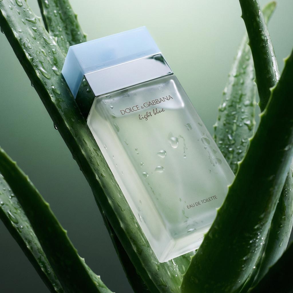 Dolce & Gabbana Light Blue Eau De Toilette 50 ml (woman)