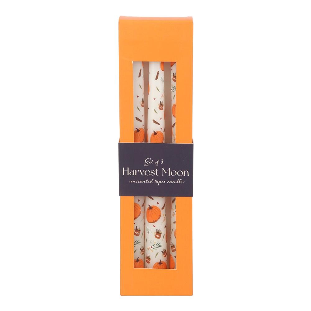 Something Different Taper Pumpkin Candles Set (Pack of 3)