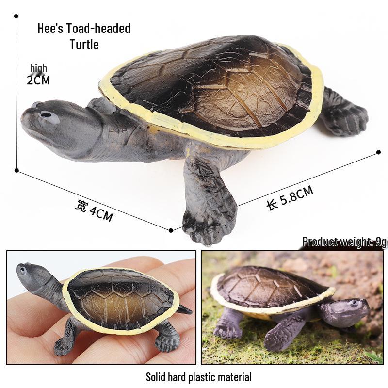 Wild Animal Model: Children's Simulation Turtle Gift Set - Tortoise Variants & Spiderweb Design.