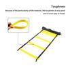 Agility Speed ​​stege Fotboll Agility Training Fotboll Fitness Foot Speed ​​Ladder