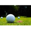 50PCS Assorted Color Transparent Golf Ball Marker Diameter 24 Mm  Play Golf   Golfing Accessories