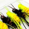 5 Fly Fishing Baits with Hooks And Storage Containers for River Anglers
