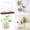 Hydroponic Vase Planter Creative Mini Glass Terrarium Decorative Flower Vase for Home Office Desktop Arrangement