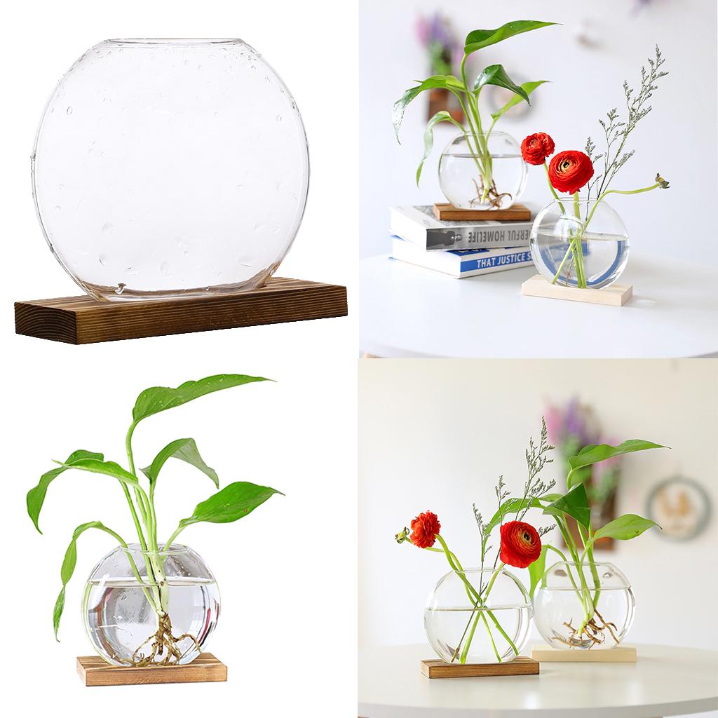 Hydroponic Vase Planter Creative Mini Glass Terrarium Decorative Flower Vase for Home Office Desktop Arrangement