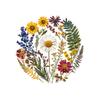 Conjunto de 6 Porta-Copos Florais Acrílico 2D para Xícara de Café à Prova d'Água Resistente ao Calor para Decoração de Mesa de Casa Bar Festa Fofo