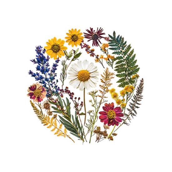 Conjunto de 6 Porta-Copos Florais Acrílico 2D para Xícara de Café à Prova d'Água Resistente ao Calor para Decoração de Mesa de Casa Bar Festa Fofo