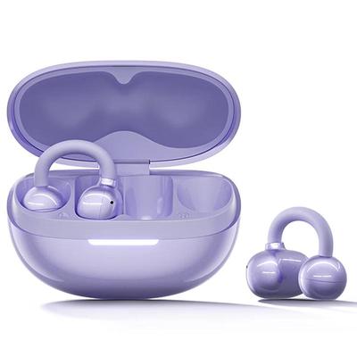 Xiao Du Smart Clip-on AI Earbuds G108