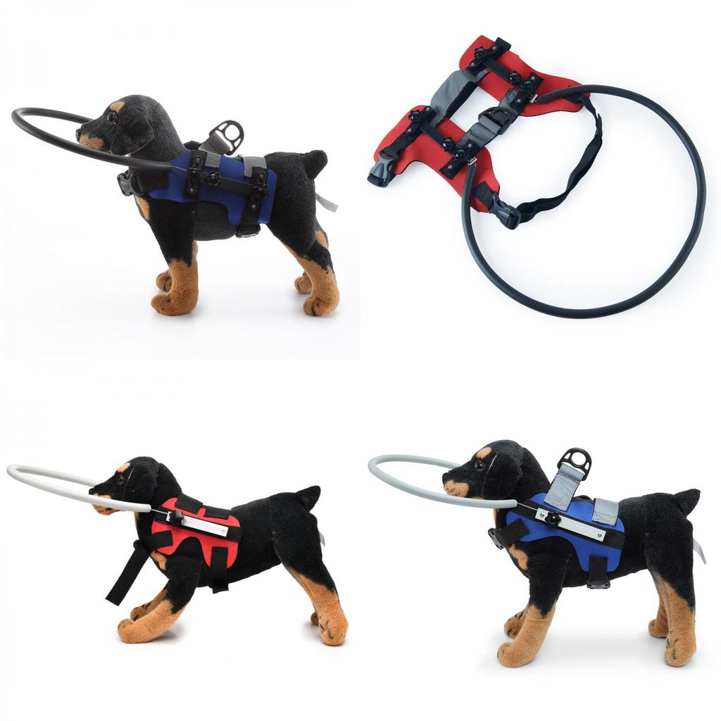 Sicherheitskragen für blinde Hunde mit stoßfestem Design für die Pflege älterer Hunde