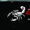 3D Scorpion Car Stickers Auto Styling Vinyl Decal Badge Self-adhesive Hood Decoration Black/White 20x12cm Easy