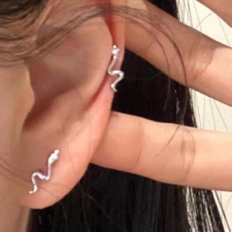 

S925 Silver Snake-Shaped Earrings for Women - 2023 Trendy High-End Niche Design