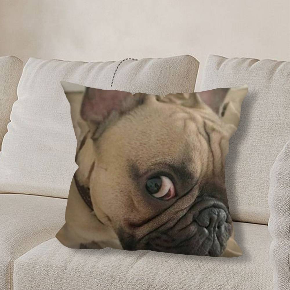 смешной B-BulldogS Собака Французский наволочка гостиная диван чехол для подушки спальня комната кровать чехол для подушки домашний декор 30cmx30cm