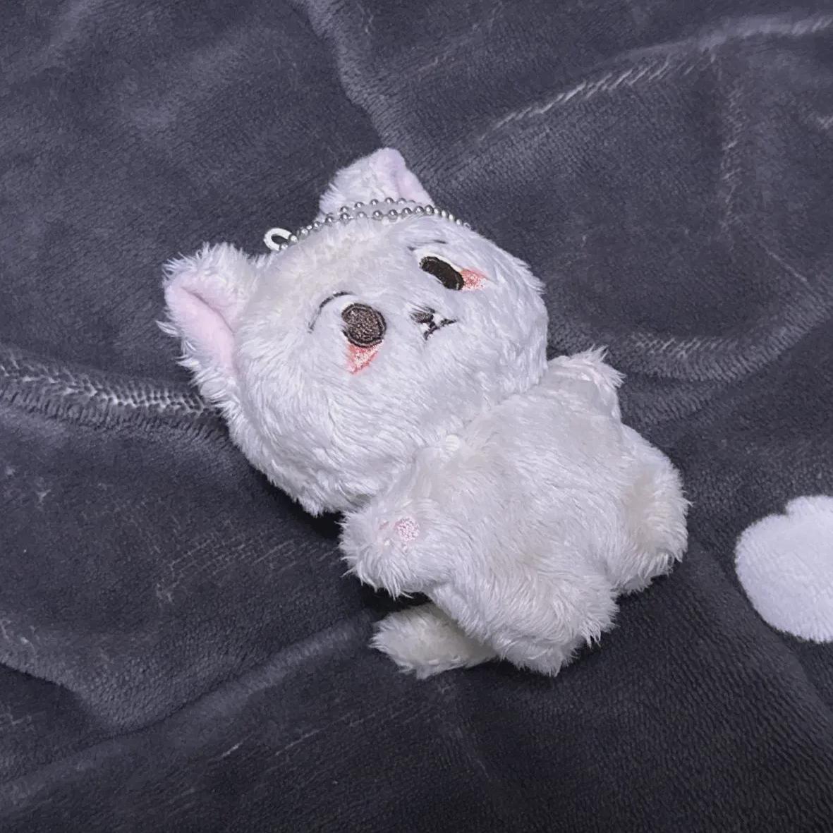 

Ren Gong Renjun Doll