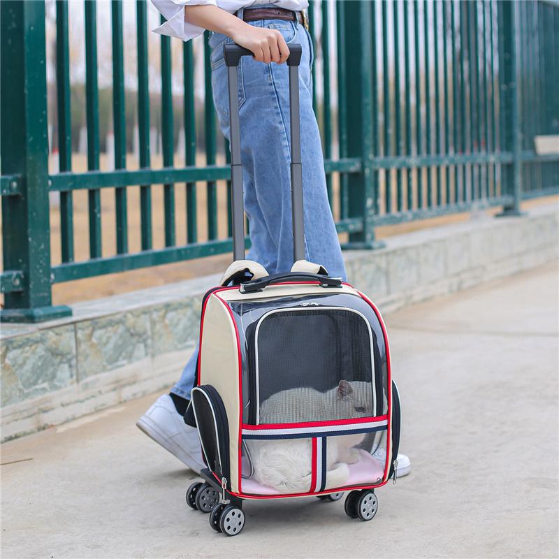 Large Space Cat Backpack with Stereoscopic Shoulder Straps Lightweight Breathable Design for Comfort Refreshing Shading Feature