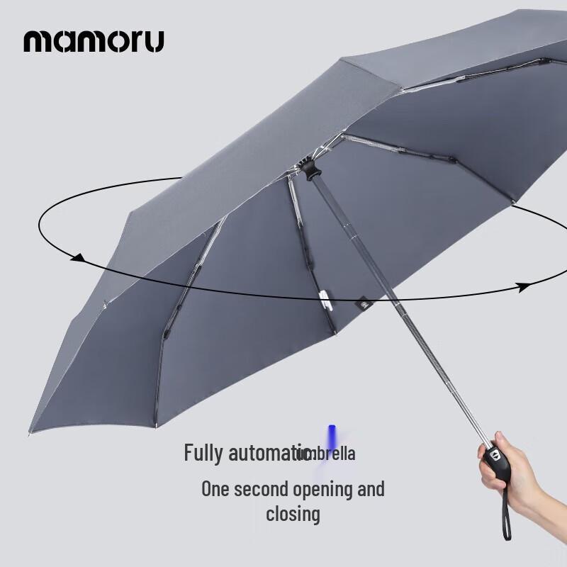 Fully Automatic Windproof Business Umbrella