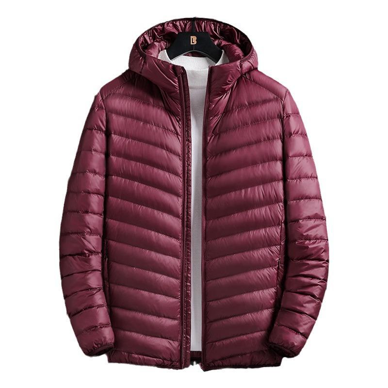 Herren Koreanischer Stil Leichte Kapuzen-Baumwolljacke - Jugend Kurz Übergröße Oberbekleidung