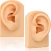 For Hearing Teaching Body Fake Ear Simulation Ear Silicone Ear Model Jewelry Earrings Display