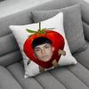 MMilo J 111 Singer  pillow cover living room sofa cushion cover bedroom room bed pillow cover home decoration