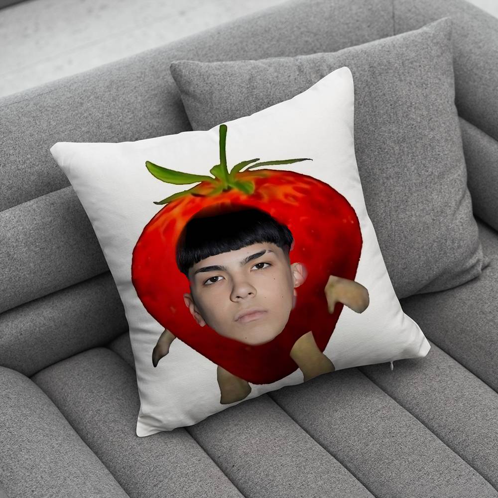 MMilo J 111 Singer pillow cover living room sofa cushion cover bedroom room bed pillow cover home decoration