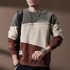 Men's Heavyweight Color-block Loose Fit Sweatshirt