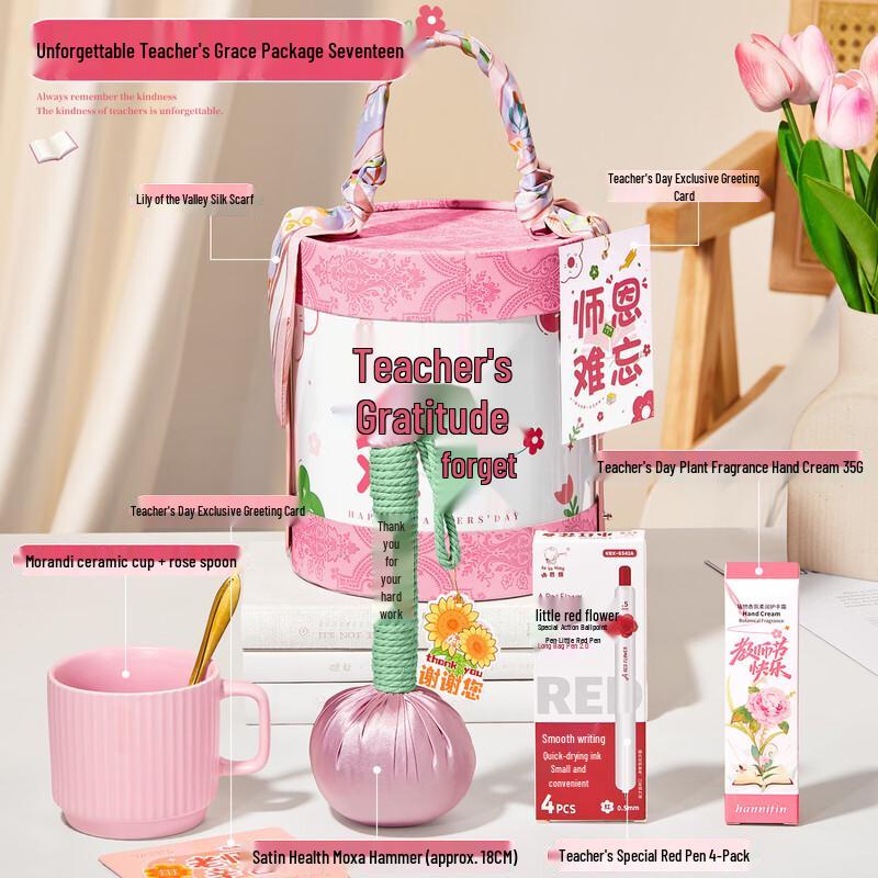 Pink Hug Bucket Teacher's Day Gift Set