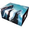 FF-TCG Anniversary Collection Set 2024 Japanese Version Card Game
