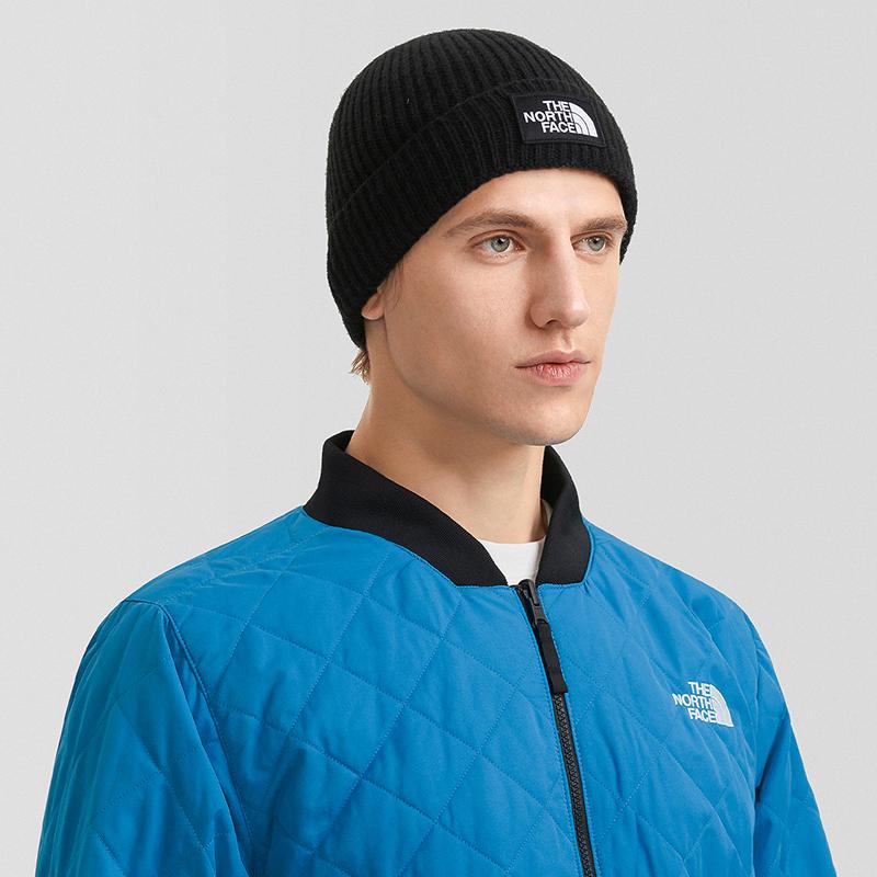 THE NORTH FACE Jackets & Coats Men's Blue NF0A3LZC-FG8