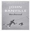 Birchwood by John Banville Paperback Book 9780330372329