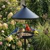 Weatherproof Standing Bird Feeder Spill Guard Large Capacity Wild Feeding Station Anti-Waste Iron Birdbath Stand Courtyard
