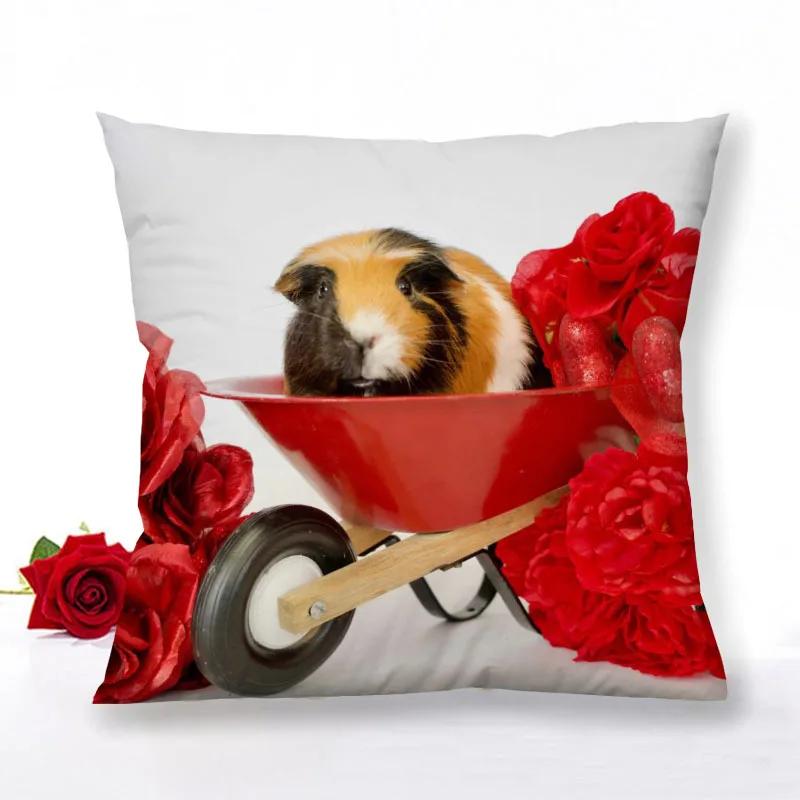 Guinea Pig Zipper Pillowcase Home Decor Satin Square  Bedroom