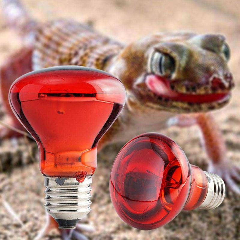 25/40/50/60/75/100W E27 Uva Poultry Bulb Infrared Night Light Day Poultry Heating Bulb For Plants Amphibians Reptile Pets