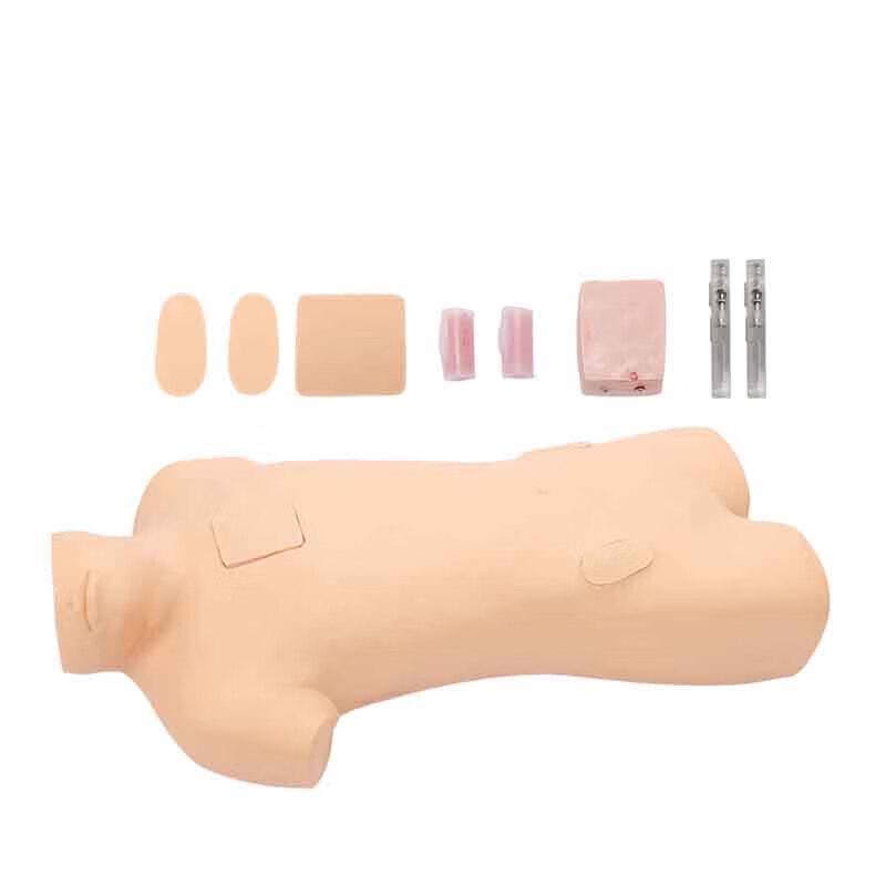Bone Marrow Puncture Training Model