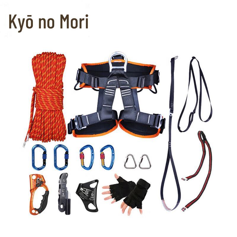 JingZhiSheng Outdoor Climbing Ascender Descender Set