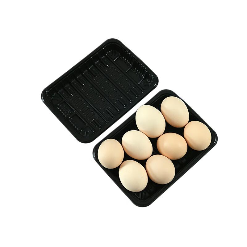 Disposable Rectangular Fresh Food Tray