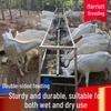 Animale de fermă
– Produse pentru îngrijire animale