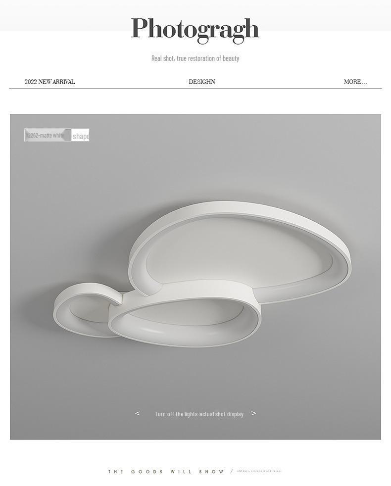 Modern Warm & Romantic Ceiling Lamp for Bedroom & Living Room (2024)