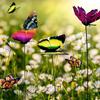 Luminous Butterfly Gardening Butterfly Pole Decoration 8cm Garden Decoration Lawn Decoration PVC Home Decoration 25PCS