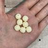 10Pcs Shell Powder Carved Ruyi Pattern Round Beads 11x12mm Through Hole Loose Spacer Beads for DIY Bracelet Necklace Jewelry Making