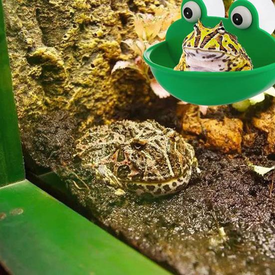 Reptile Feeder with Suction Cup Pet Landscaping Plastic Frog Tortoise Amphibian Rest Living Container Pet Supplies