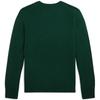 Polo Ralph Lauren Sweater FW24 Logo Embroidered Crew Neck Pullover Long Sleeve Kids sweater Academy-Green CWPOSWEY6820527-300