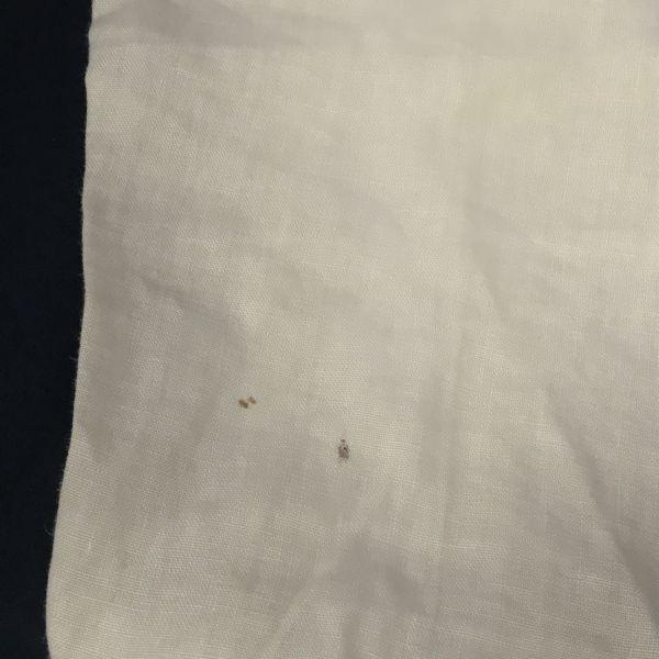 ETRO 100% Linen Tapered Pants Slacks Men's M 46 Inseam 76cm Beige Made In Italy