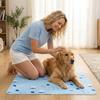 Pet Ice Pad Summer Hydrogel Cool Dog Pad Scratch Resistant  Ice Pad