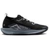 Nike Pegasus Trail 5 GORE-TEX Black Wolf Grey - FQ0908-001