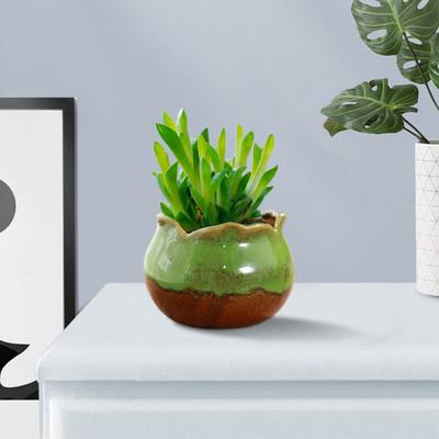 Květináč Živá barva Hladký okraj Nerozbitný Design s drenážním otvorem Zesílený Dekorativní Nádherný Květináč na sukulenty Zahradničení na balkoně Dárek