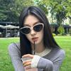 Fashionable Sunglasses Cat Eyes Sunglasses Non-Polarized Fashion Accessory 