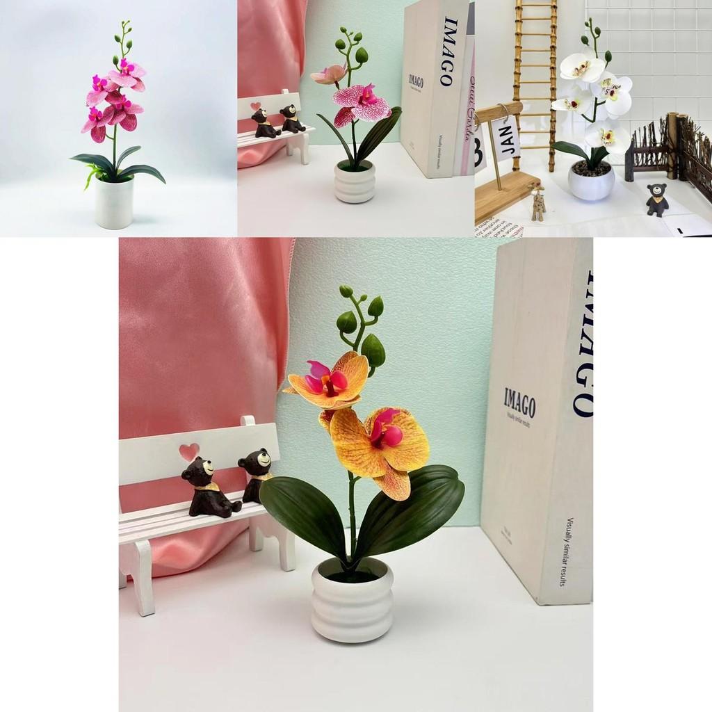 Butterfly Orchid Faux Plant With 3d Printing Technique For Indoor Home Decoration And Photography
